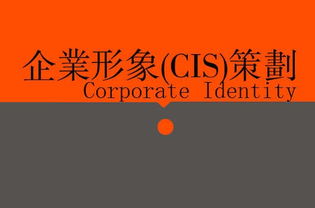 廣告、營銷、品牌與企業策劃 戰略協同下的廣告設計核心