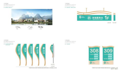 寶騏廣西柳州白云頤養中心項目CI設計成果交付與旅游開發項目策劃咨詢